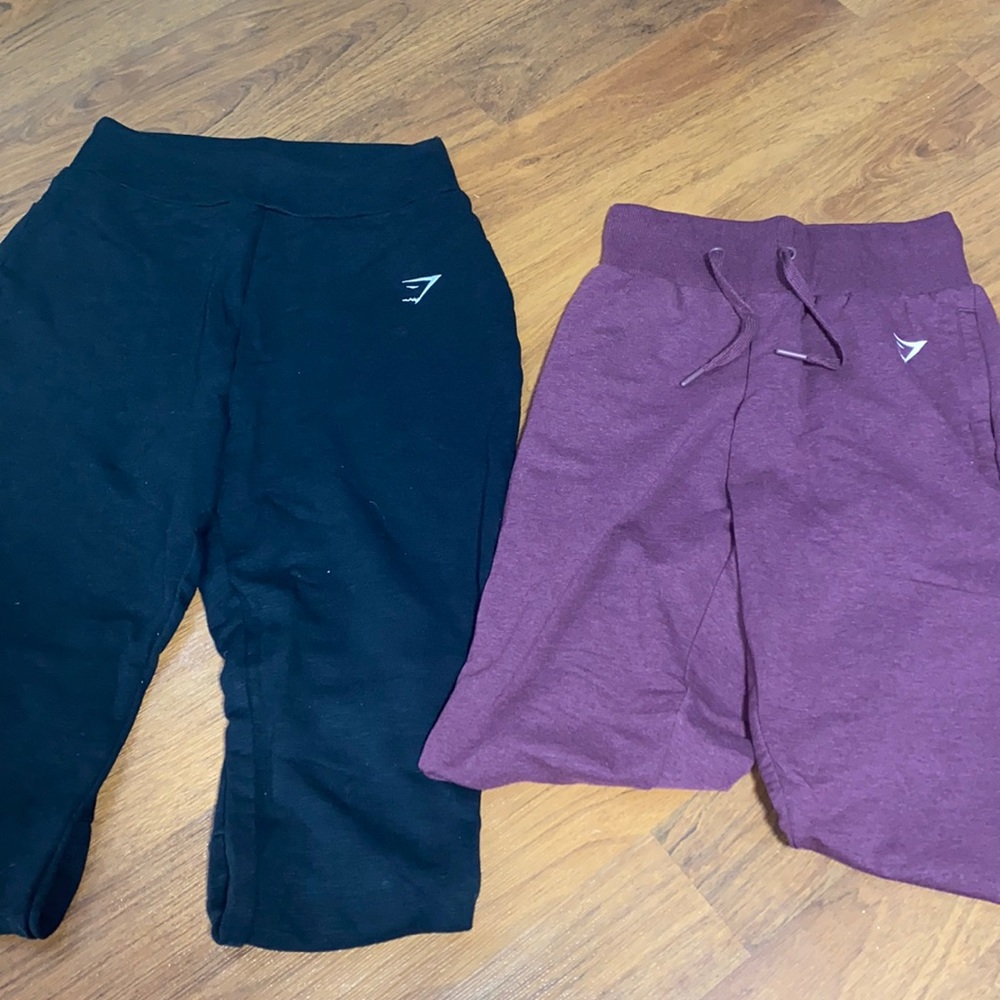 Gym shark jogger pair